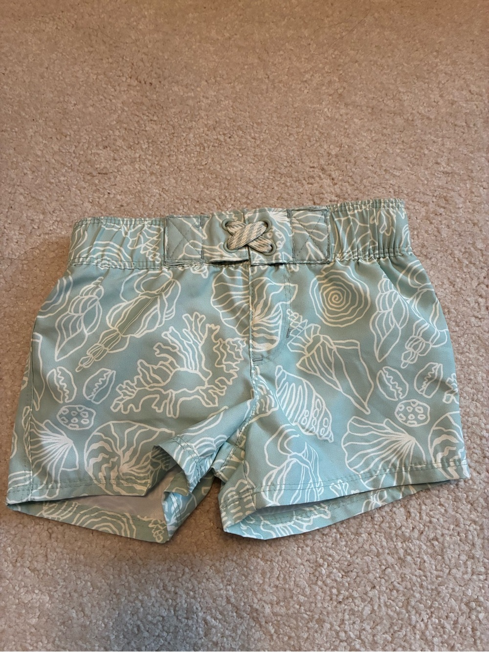 Cat & Jack Aqua Shell-Print Swim Shorts